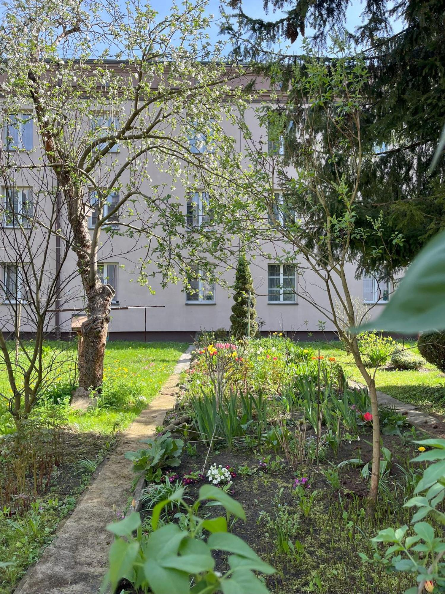 Greenthumb Praska Krasków Exterior foto