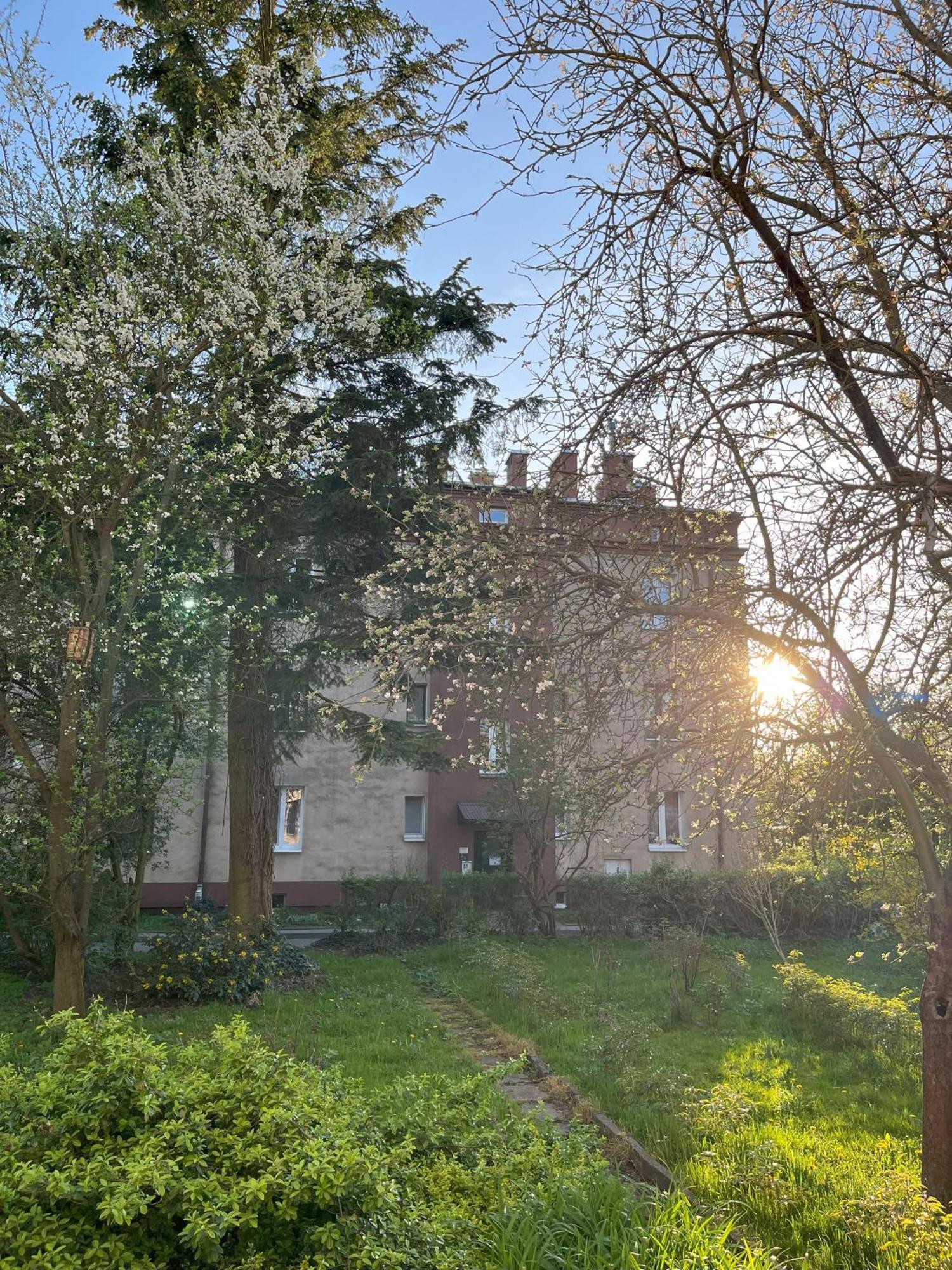 Greenthumb Praska Krasków Exterior foto