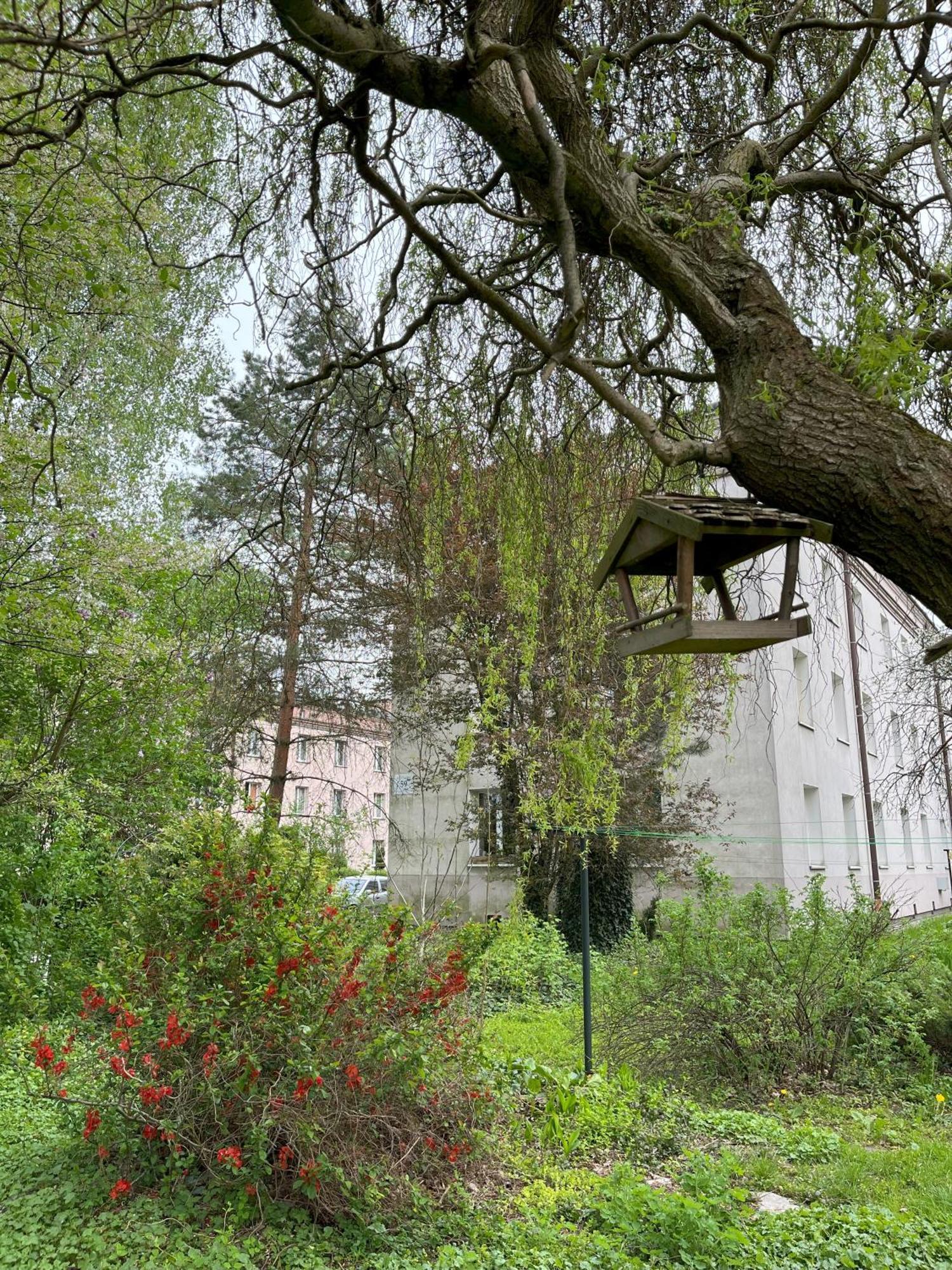 Greenthumb Praska Krasków Exterior foto