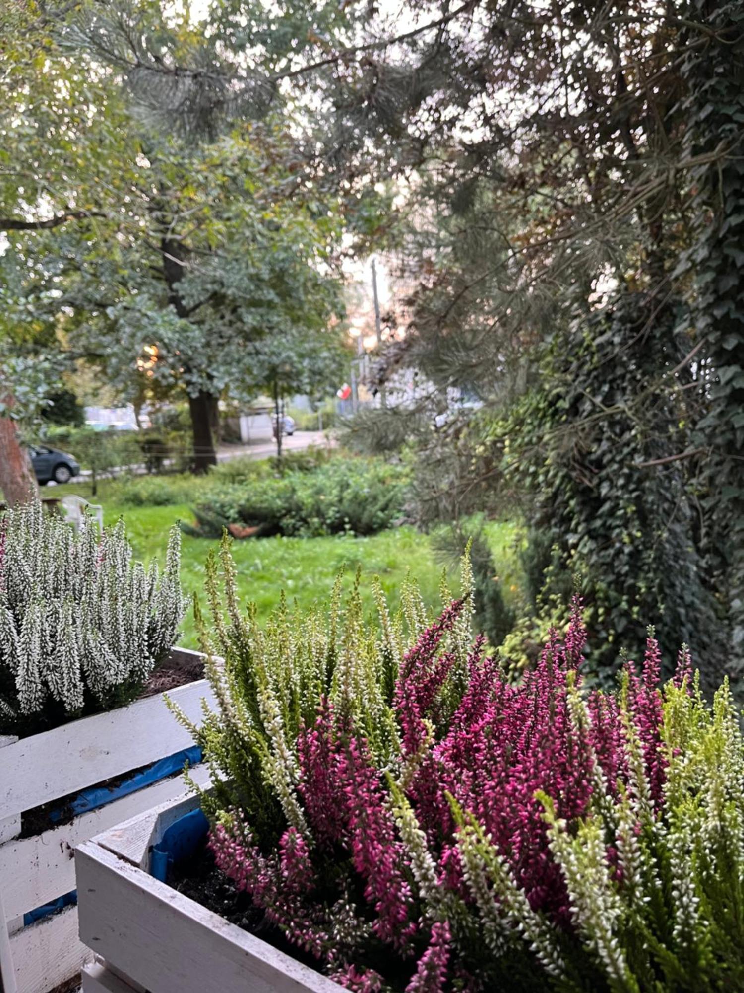 Greenthumb Praska Krasków Exterior foto